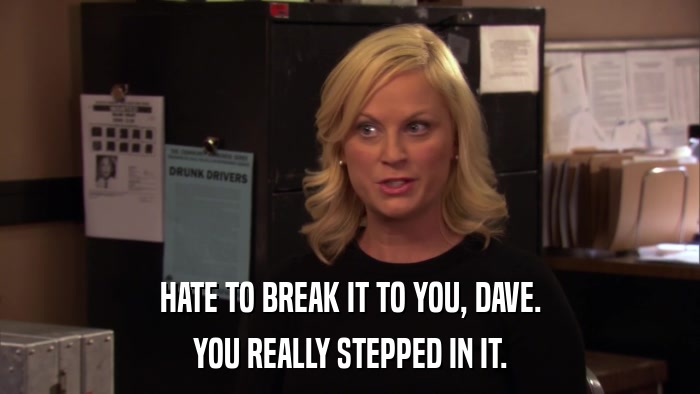 HATE TO BREAK IT TO YOU, DAVE. YOU REALLY STEPPED IN IT. 