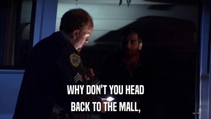 WHY DON'T YOU HEAD BACK TO THE MALL, 