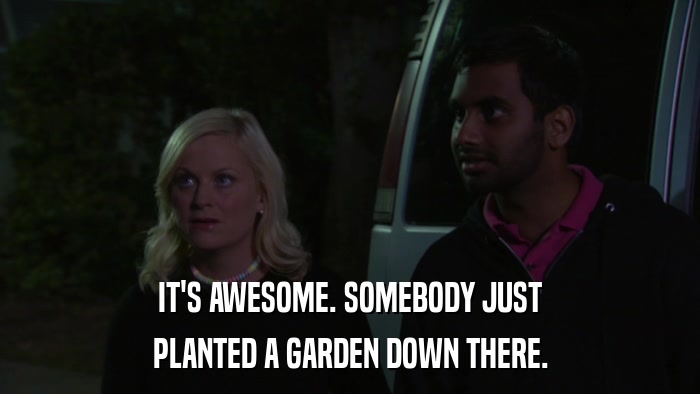IT'S AWESOME. SOMEBODY JUST PLANTED A GARDEN DOWN THERE. 