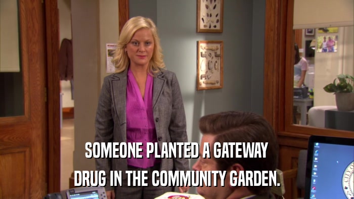 SOMEONE PLANTED A GATEWAY DRUG IN THE COMMUNITY GARDEN. 