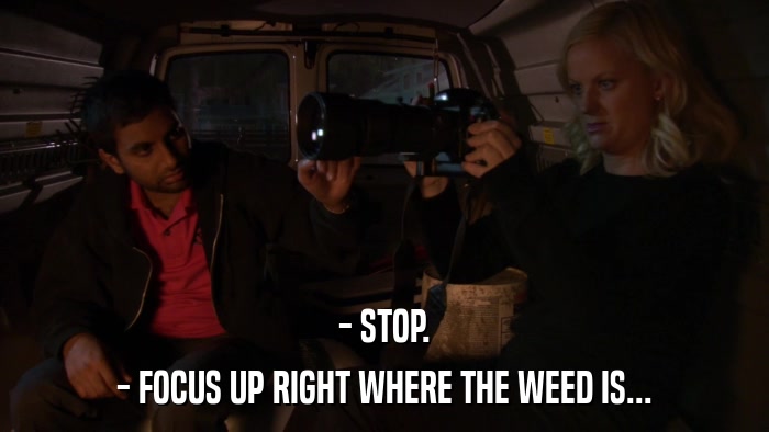 - STOP. - FOCUS UP RIGHT WHERE THE WEED IS... 