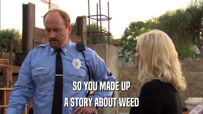 SO YOU MADE UP A STORY ABOUT WEED 