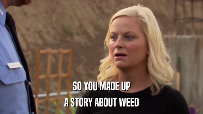 SO YOU MADE UP A STORY ABOUT WEED 