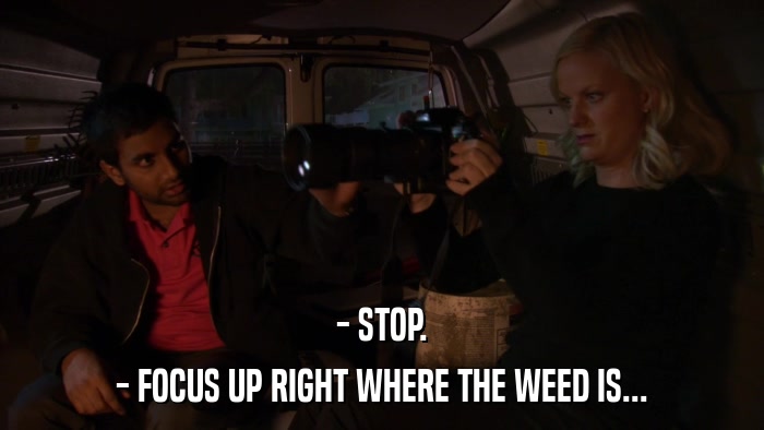 - STOP. - FOCUS UP RIGHT WHERE THE WEED IS... 