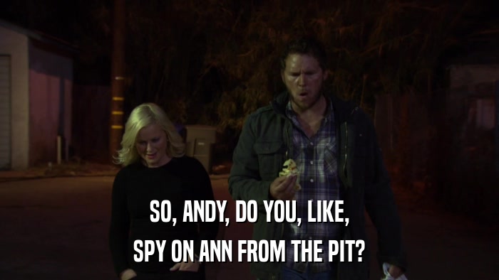 SO, ANDY, DO YOU, LIKE, SPY ON ANN FROM THE PIT? 