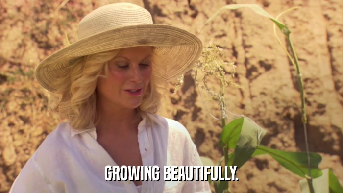 GROWING BEAUTIFULLY.  