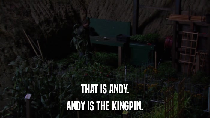 THAT IS ANDY. ANDY IS THE KINGPIN. 