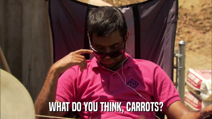 WHAT DO YOU THINK, CARROTS?  