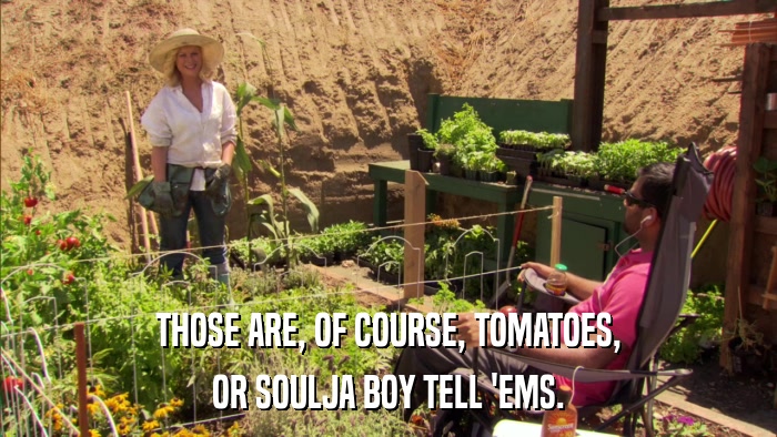 THOSE ARE, OF COURSE, TOMATOES, OR SOULJA BOY TELL 'EMS. 