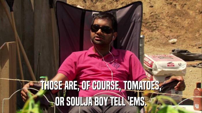 THOSE ARE, OF COURSE, TOMATOES, OR SOULJA BOY TELL 'EMS. 