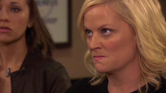 THANK YOU, OFFICER. LET'S JUST GO HOME, LESLIE. 