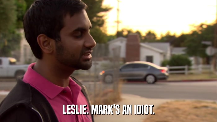 LESLIE. MARK'S AN IDIOT.  