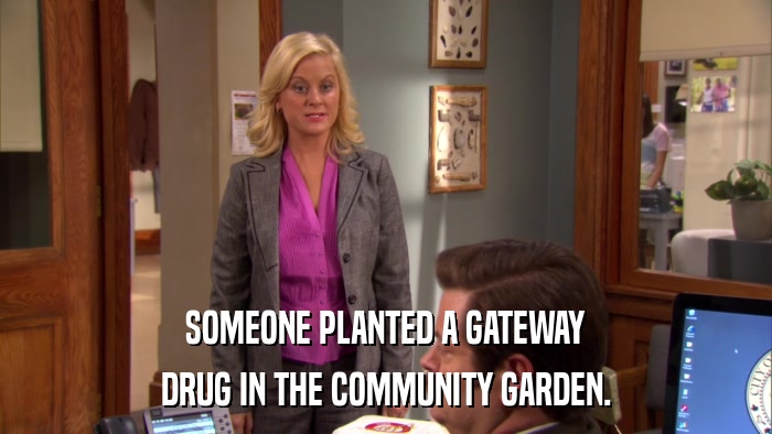 SOMEONE PLANTED A GATEWAY DRUG IN THE COMMUNITY GARDEN. 