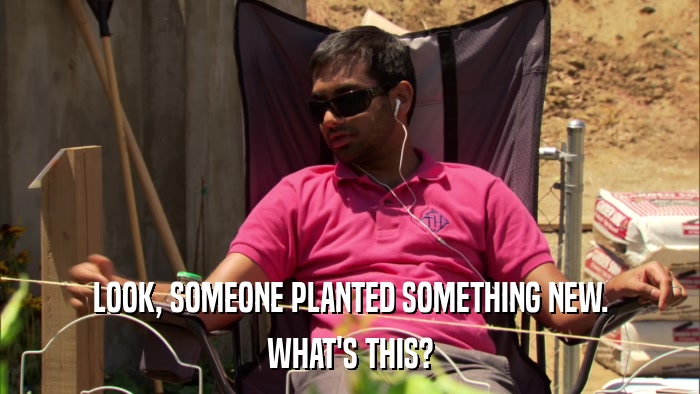 LOOK, SOMEONE PLANTED SOMETHING NEW. WHAT'S THIS? 