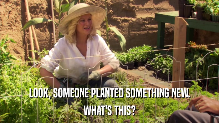 LOOK, SOMEONE PLANTED SOMETHING NEW. WHAT'S THIS? 