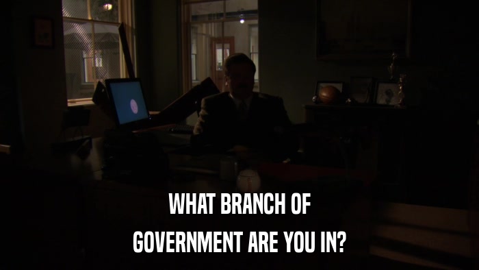 WHAT BRANCH OF GOVERNMENT ARE YOU IN? 
