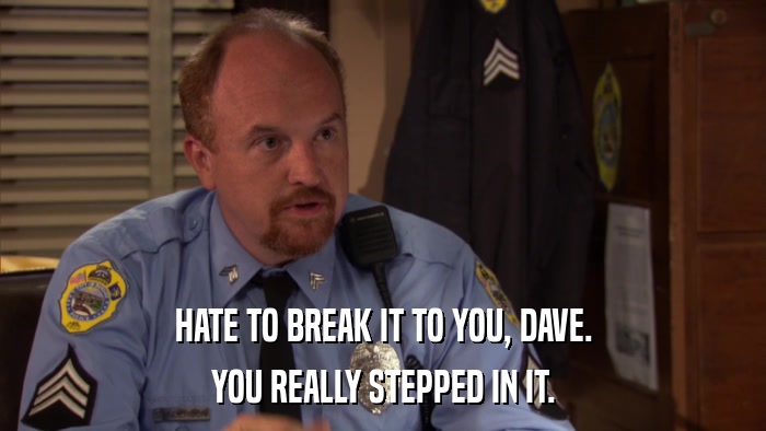 HATE TO BREAK IT TO YOU, DAVE. YOU REALLY STEPPED IN IT. 
