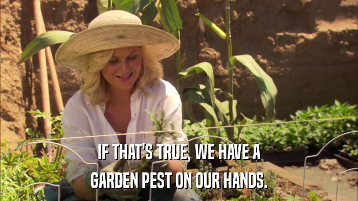 IF THAT'S TRUE, WE HAVE A GARDEN PEST ON OUR HANDS. 