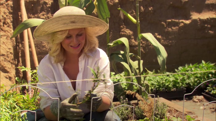 IF THAT'S TRUE, WE HAVE A GARDEN PEST ON OUR HANDS. 