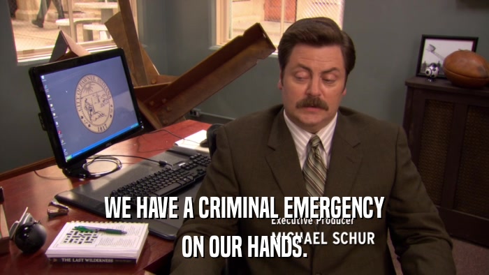 WE HAVE A CRIMINAL EMERGENCY ON OUR HANDS. 