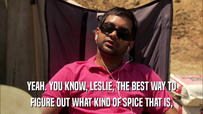 YEAH. YOU KNOW, LESLIE, THE BEST WAY TO FIGURE OUT WHAT KIND OF SPICE THAT IS, 