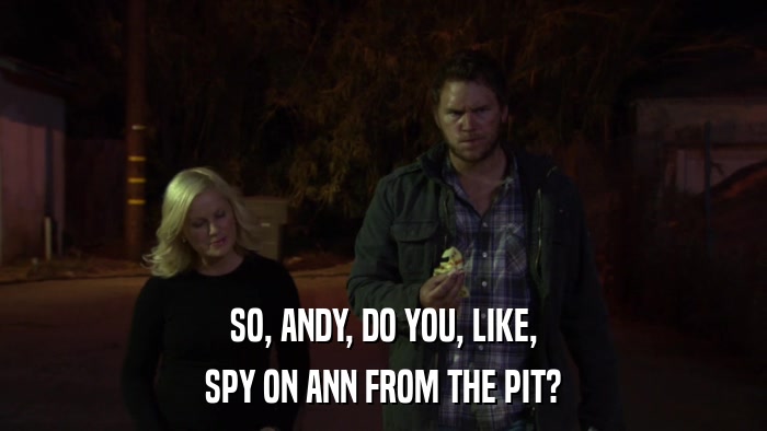 SO, ANDY, DO YOU, LIKE, SPY ON ANN FROM THE PIT? 