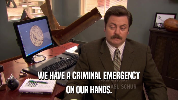 WE HAVE A CRIMINAL EMERGENCY ON OUR HANDS. 