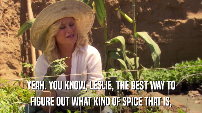 YEAH. YOU KNOW, LESLIE, THE BEST WAY TO FIGURE OUT WHAT KIND OF SPICE THAT IS, 