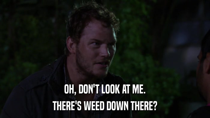 OH, DON'T LOOK AT ME. THERE'S WEED DOWN THERE? 