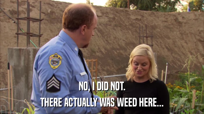 NO, I DID NOT. THERE ACTUALLY WAS WEED HERE... 