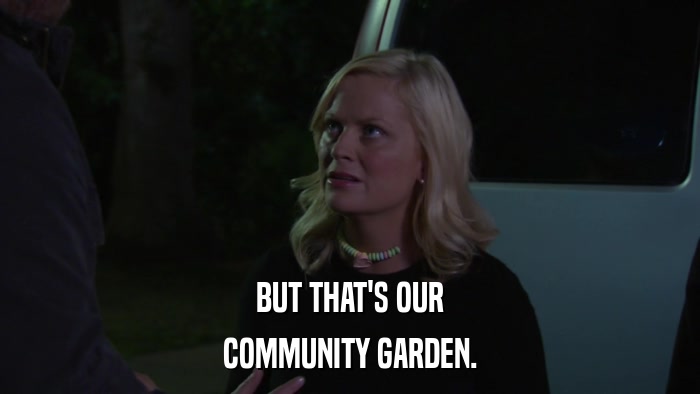 BUT THAT'S OUR COMMUNITY GARDEN. 