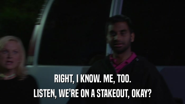 RIGHT, I KNOW. ME, TOO. LISTEN, WE'RE ON A STAKEOUT, OKAY? 