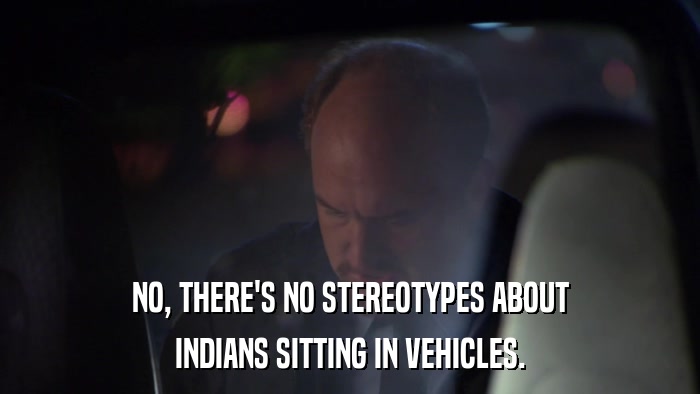 NO, THERE'S NO STEREOTYPES ABOUT INDIANS SITTING IN VEHICLES. 