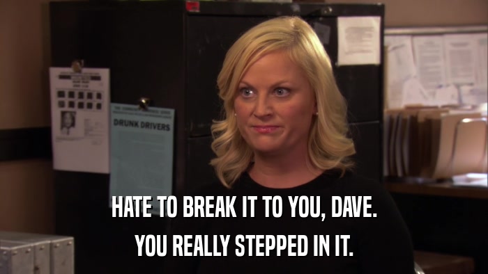 HATE TO BREAK IT TO YOU, DAVE. YOU REALLY STEPPED IN IT. 