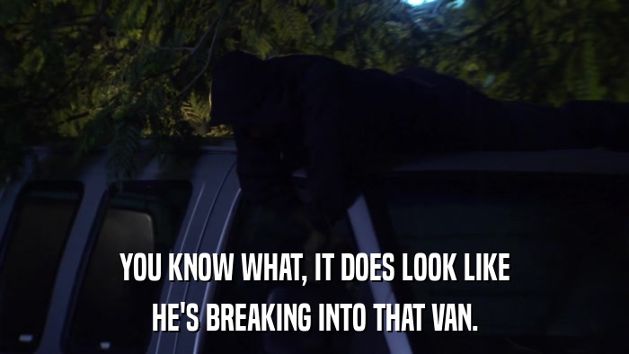 YOU KNOW WHAT, IT DOES LOOK LIKE HE'S BREAKING INTO THAT VAN. 