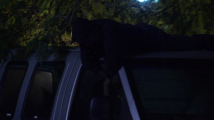 YOU KNOW WHAT, IT DOES LOOK LIKE HE'S BREAKING INTO THAT VAN. 