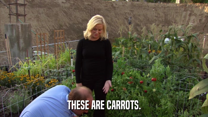 THESE ARE CARROTS.  