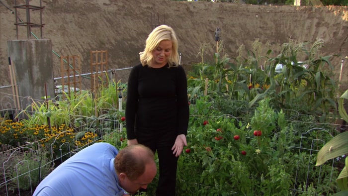 THESE ARE CARROTS.  