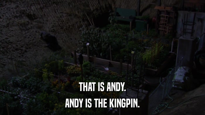THAT IS ANDY. ANDY IS THE KINGPIN. 
