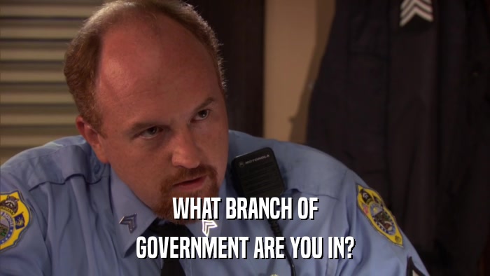 WHAT BRANCH OF GOVERNMENT ARE YOU IN? 