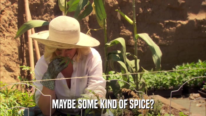 MAYBE SOME KIND OF SPICE?  