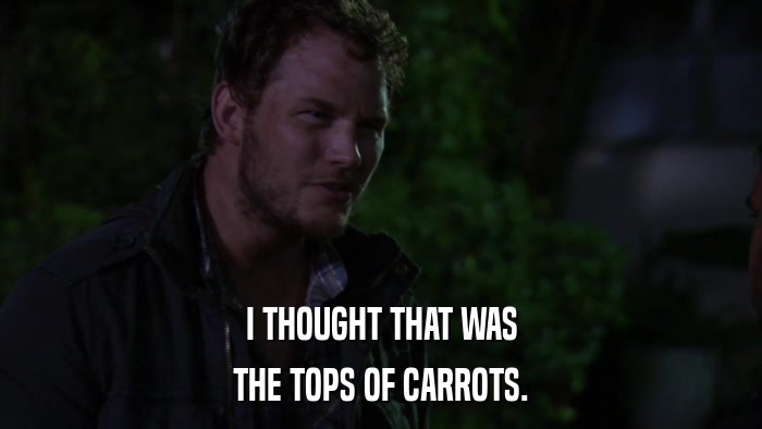 I THOUGHT THAT WAS THE TOPS OF CARROTS. 