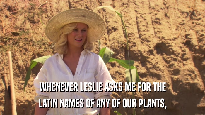 WHENEVER LESLIE ASKS ME FOR THE LATIN NAMES OF ANY OF OUR PLANTS, 
