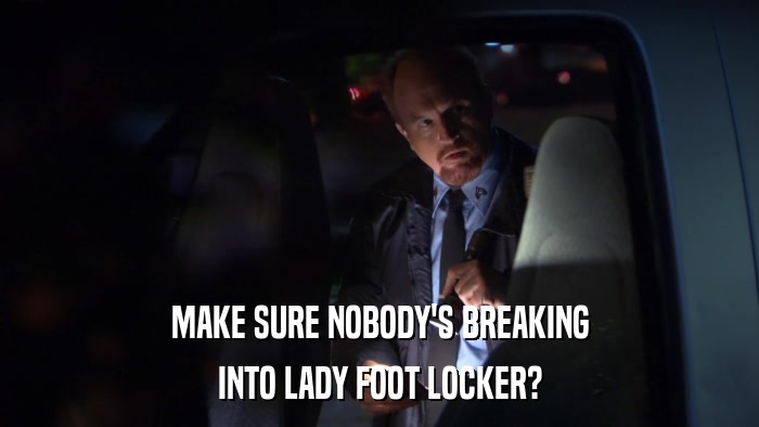 MAKE SURE NOBODY'S BREAKING INTO LADY FOOT LOCKER? 