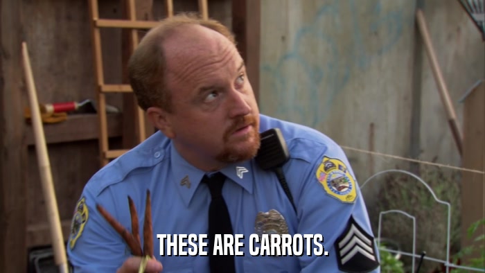 THESE ARE CARROTS.  