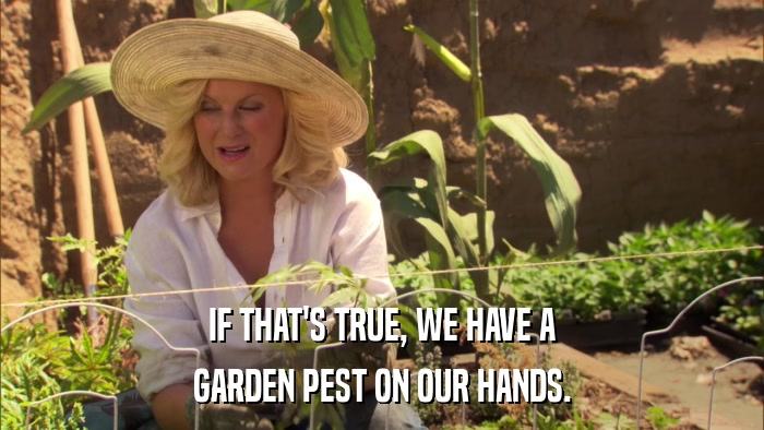 IF THAT'S TRUE, WE HAVE A GARDEN PEST ON OUR HANDS. 