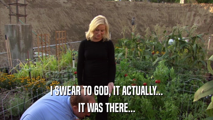 I SWEAR TO GOD, IT ACTUALLY... IT WAS THERE... 