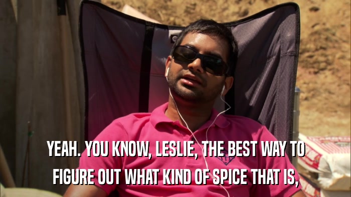 YEAH. YOU KNOW, LESLIE, THE BEST WAY TO FIGURE OUT WHAT KIND OF SPICE THAT IS, 