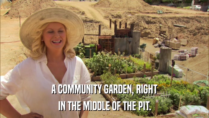 A COMMUNITY GARDEN, RIGHT IN THE MIDDLE OF THE PIT. 