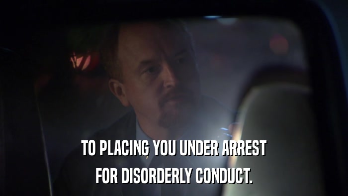 TO PLACING YOU UNDER ARREST FOR DISORDERLY CONDUCT. 
